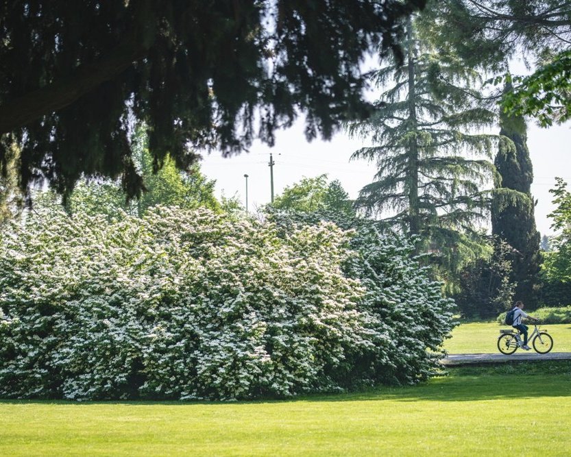 parco sigurta - biglietti in vendita