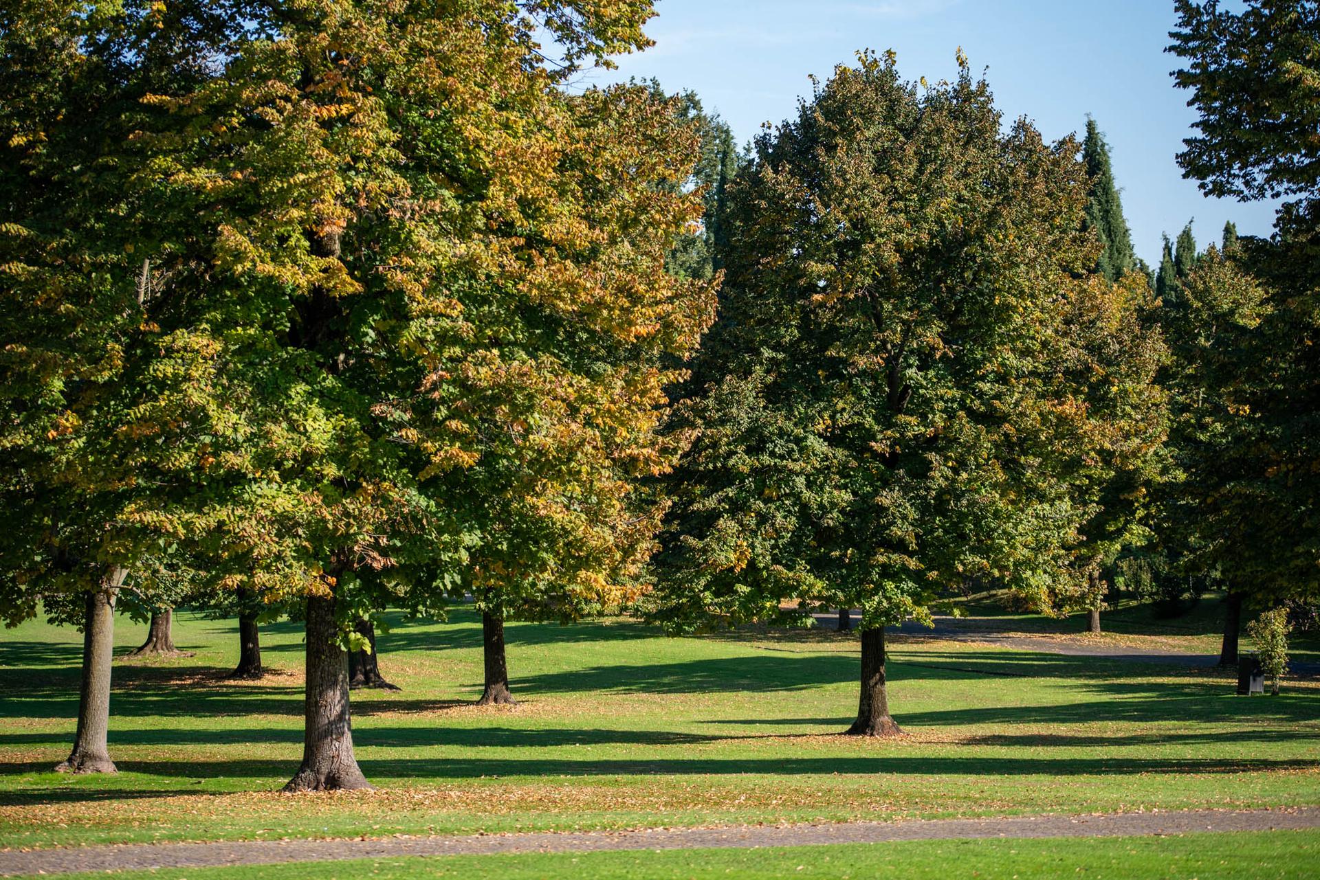 parco sigurtà - festival d autunno